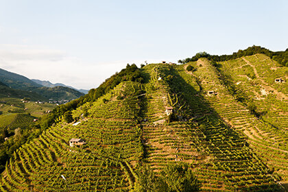 Colline di Valdobbiadene Matia Mionetto